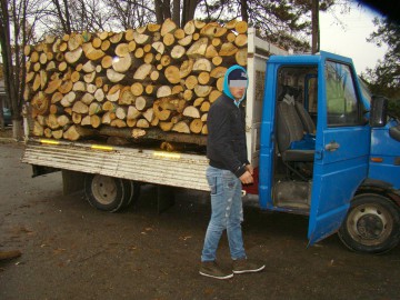 Transport ilegal de lemne, interceptat de poliţişti la Hârşova